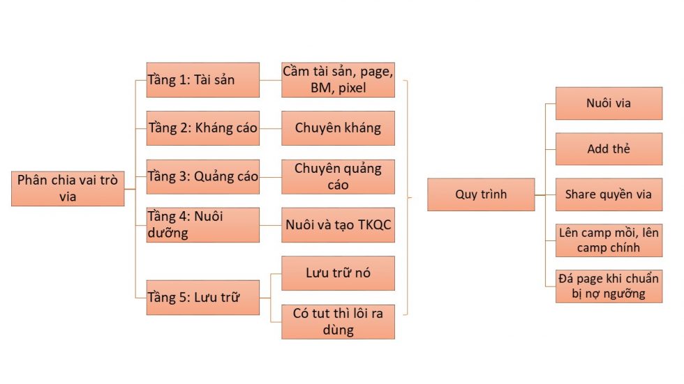 Phân chia vai trò của via để đạt được hiệu quả cao